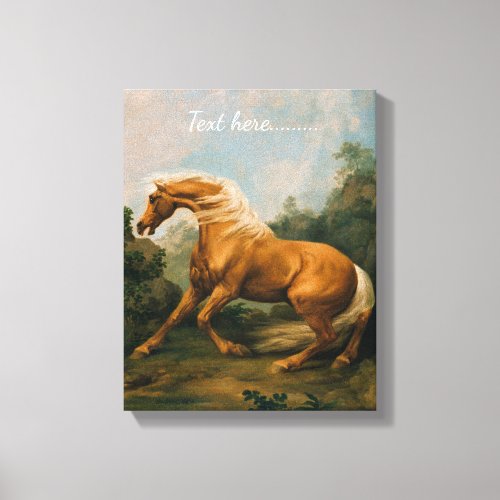 Classic Golden Palomino Canvas Print