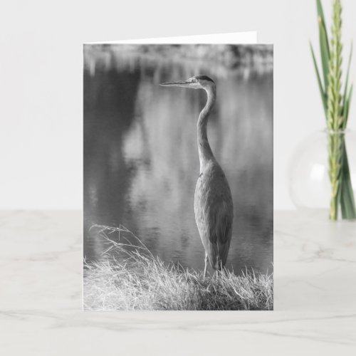 Classic Great Blue Heron Black  White Photography Card