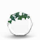 Classic Green English Ivy