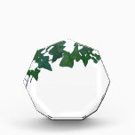 Classic Green English Ivy    Acrylic Award<br><div class="desc">A beautiful elegant Classic vintage green English ivy design.
This image has a modern minimalist feeling. Perfect for any occasion or event. Easy to customize.
part of a collection- 
https://www.zazzle.com/collections/english_ivy-119062483228443473</div>