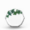 Classic Green English Ivy   