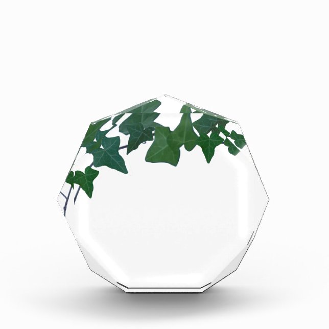 Classic Green English Ivy    Acrylic Award (Front)