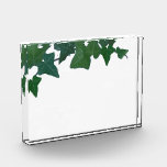 Classic Green English Ivy    Acrylic Award<br><div class="desc">A beautiful elegant Classic vintage green English ivy design.
This image has a modern minimalist feeling. Perfect for any occasion or event. Easy to customize.
part of a collection- 
https://www.zazzle.com/collections/english_ivy-119062483228443473</div>