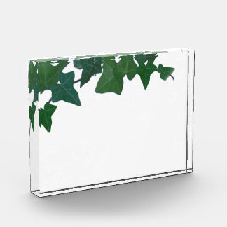 Classic Green English Ivy    Acrylic Award