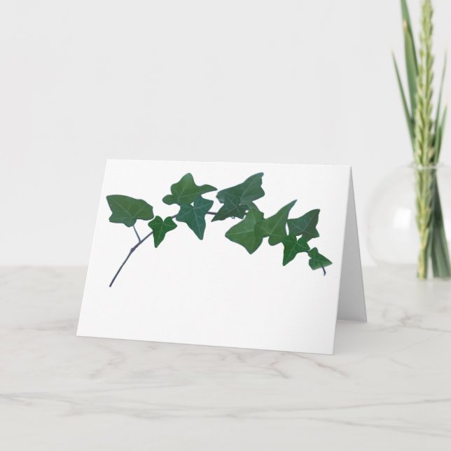 Classic Green English Ivy   Card (Front)