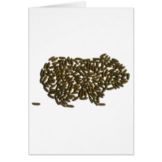 Classic Guinea Pig Cards