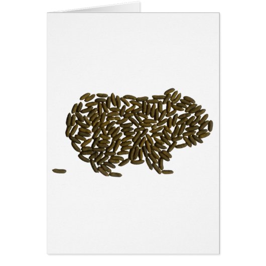 Classic Guinea Pig Cards (Front)