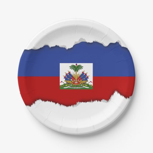 Classic Haitian Flag Paper Plates