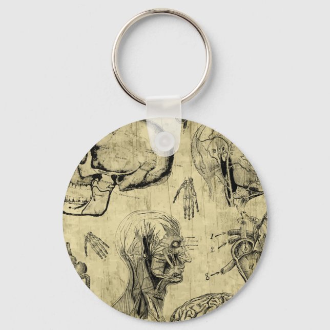 Classic Human Anatomy Keychain (Front)