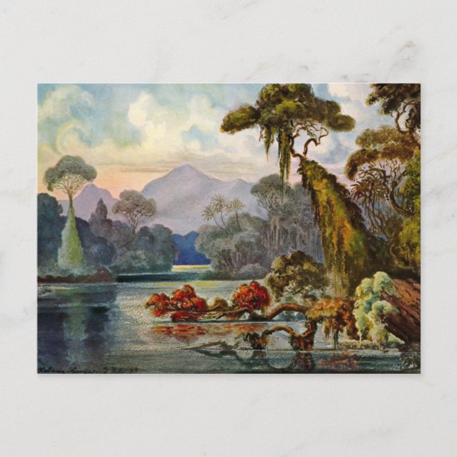 Classic Illustration Postcard (Front)