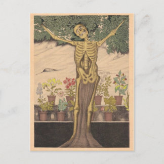 Classic Illustration Postcard