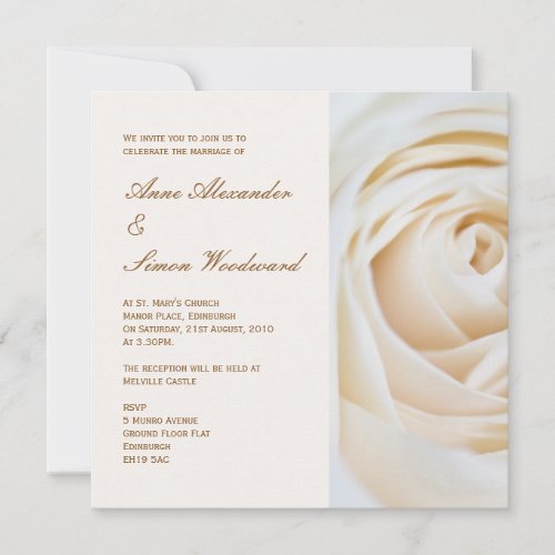 Classic Ivory White Rose Wedding Invitiation Announcement