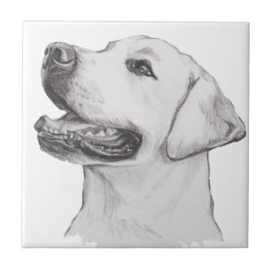 Classic Labrador Retriever Dog profile Drawing Tile