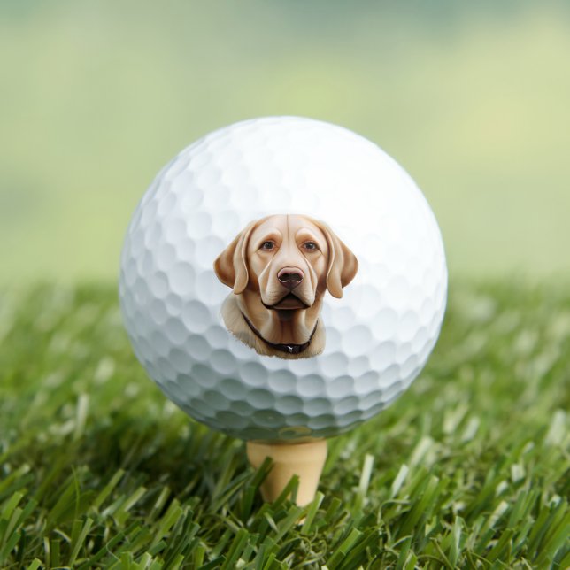 Classic Labrador Retriever Illustration Golf Balls (Insitu Tee)