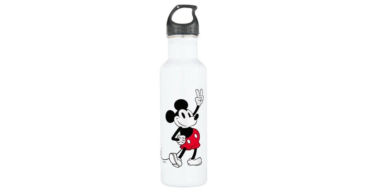  Disney Mickey Mouse and Friends Comic Stainless Steel Water  Bottle : Home & Kitchen