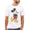 Classic Mickey Mouse Vintage Art
