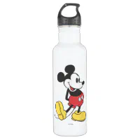 Disney Classic Minnie Mouse Head WIth Bow 24 Oz Single Wall Plastic Water  Bottle