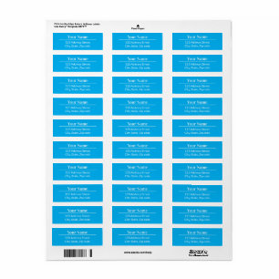 Classic Modern Minimalist Sky Blue Name Address Label