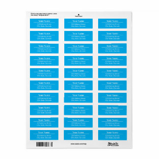 Classic Modern Minimalist Sky Blue Name Address Label