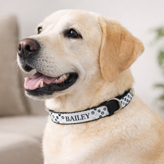 Classic Monochrome Paw Print Pet Name Collar