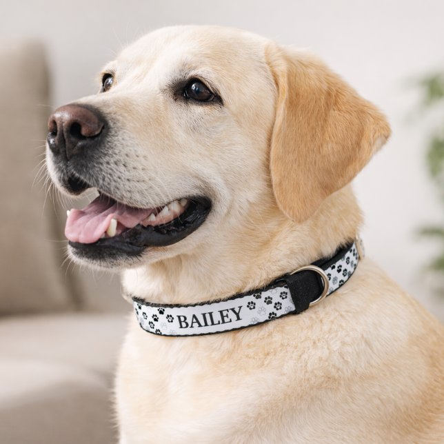 Classic Monochrome Paw Print Pet Name Collar (Creator Uploaded)