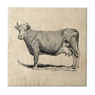 Classic Old Fashioned Cow Art Ceramic Tile