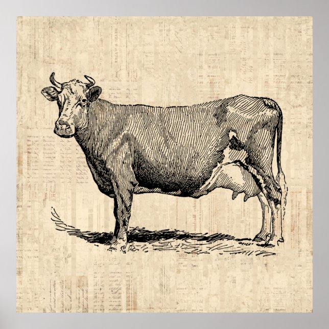 Classic Old Fashioned Cow Art Poster (Front)