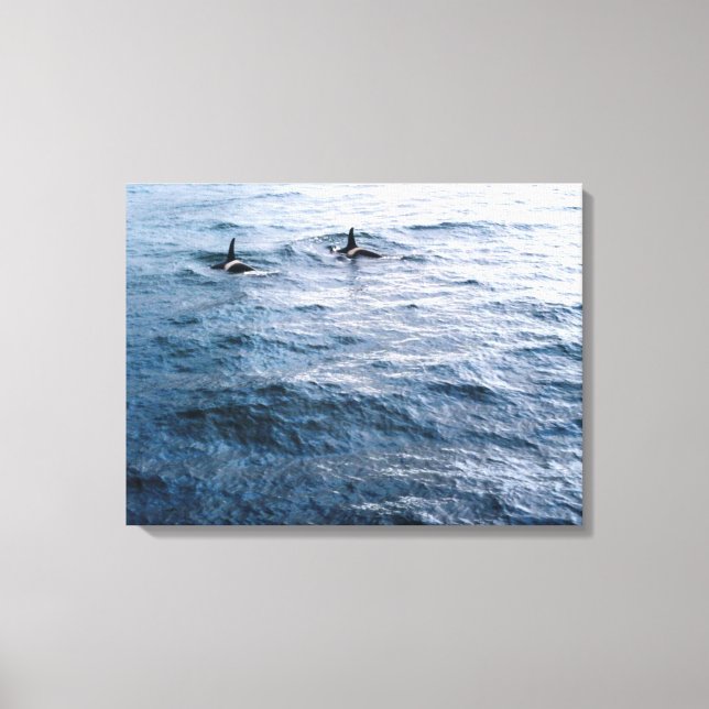 Classic Orca Whale Pair Ocean Scene Photo Designed Canvas Print (Front)