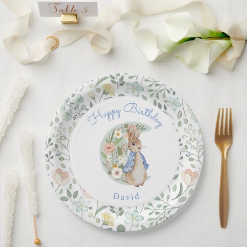 Classic Peter the Rabbit Beatrix Potter Birthday  Paper Plates