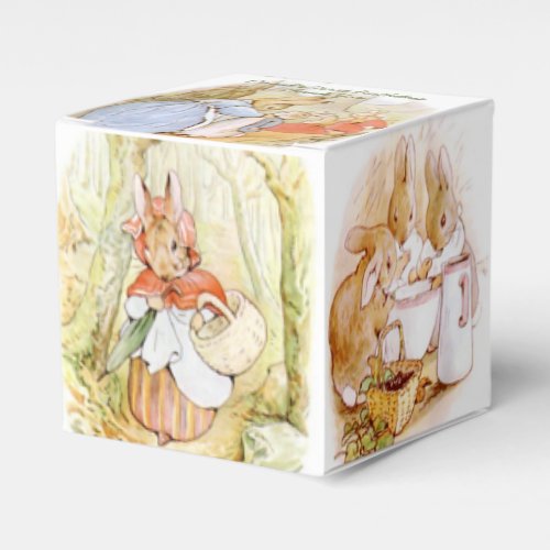 Classic Peter the Rabbit Birthday Favor Boxes