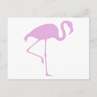 Classic Pink Flamingo Postcard