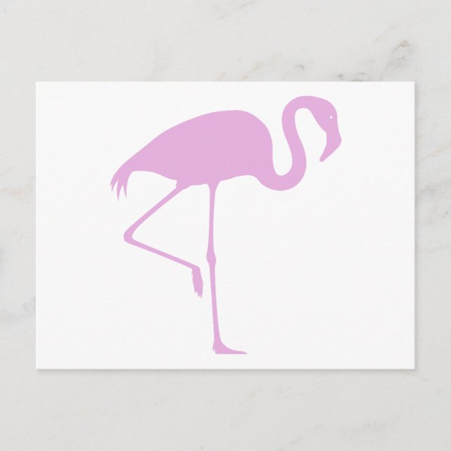 Classic Pink Flamingo Postcard (Front)