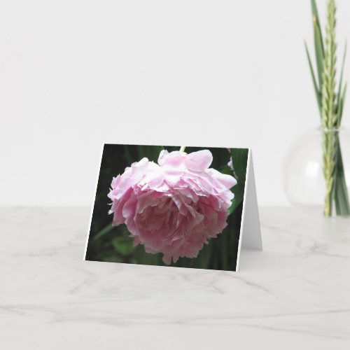 Classic Pink Peony Rating Cards