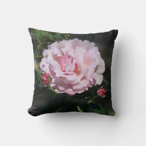 Classic Pink Rose Beautiful Nature Photograph Throw Pillow