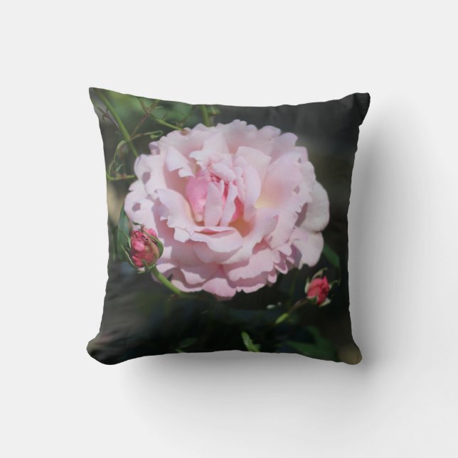 Classic Pink Rose Beautiful Nature Photograph Throw Pillow (Front)