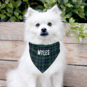 Classic Plaid Robertson Green Tartan Pet Bandana Collar