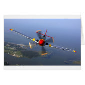 Classic Plane (Front Horizontal)