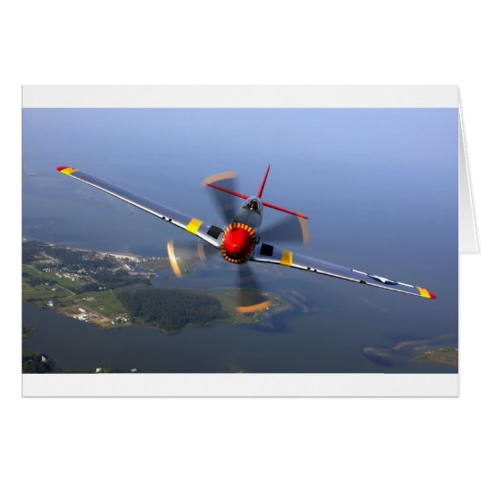 Classic Plane (Front Horizontal)