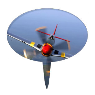 Classic Plane Cake Topper