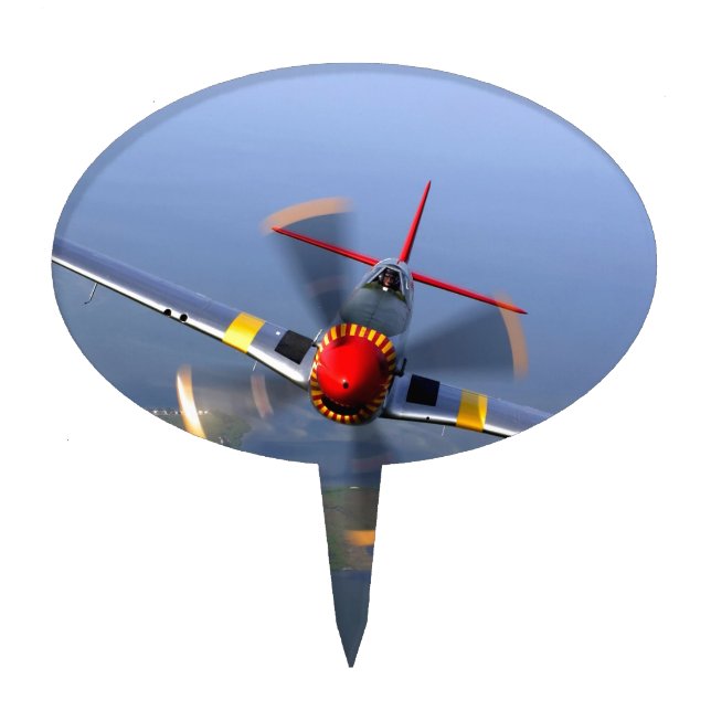 Classic Plane Cake Topper (Front)