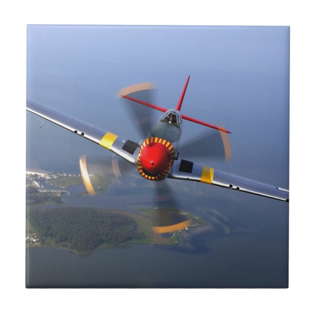 Classic Plane Tile (Front)