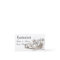Classic Platinum Automotive Business Cards