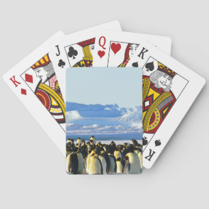 Classic playing card