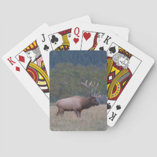 Classic Playing Cards of bull elk