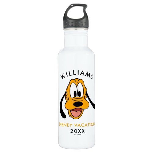 Classic Pluto  Family Vacation  Year Stainless Steel Water Bottle