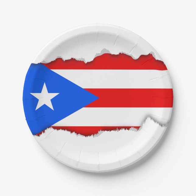 Classic Puerto Rican Flag Paper Plates (Front)