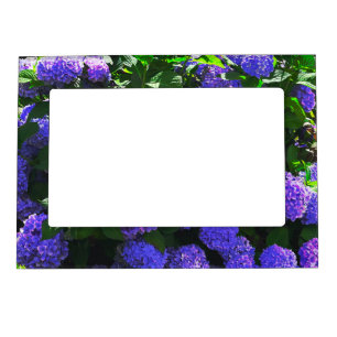 Classic Purple Realistic Hydrangea Magnetic Frame