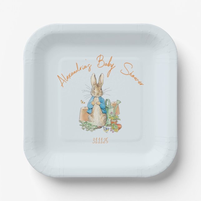 Classic rabbit in blue jacket paper plates (Front)