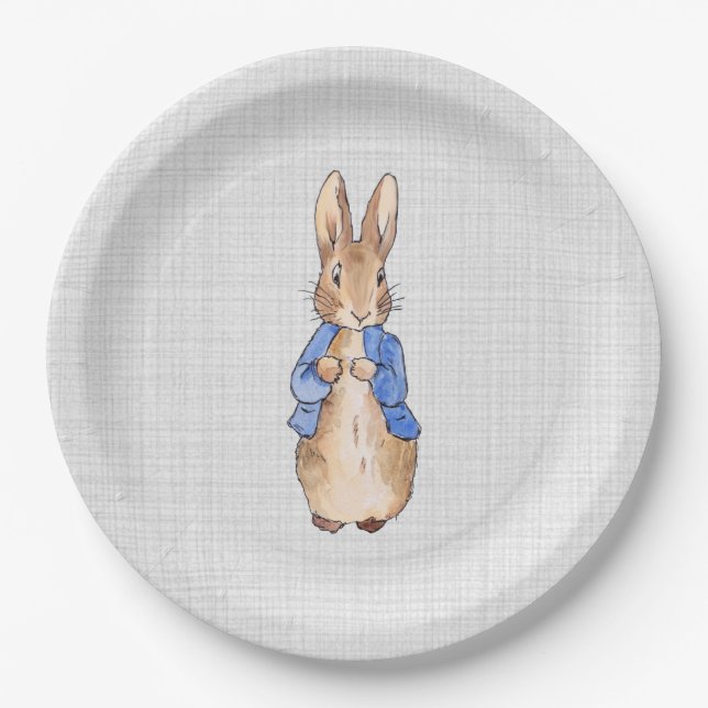 Classic Rabbit in blue jacket Paper Plates (Front)
