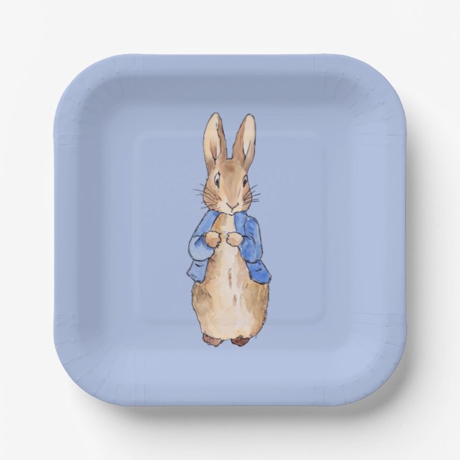 Classic Rabbit party design Paper Plates (Front)